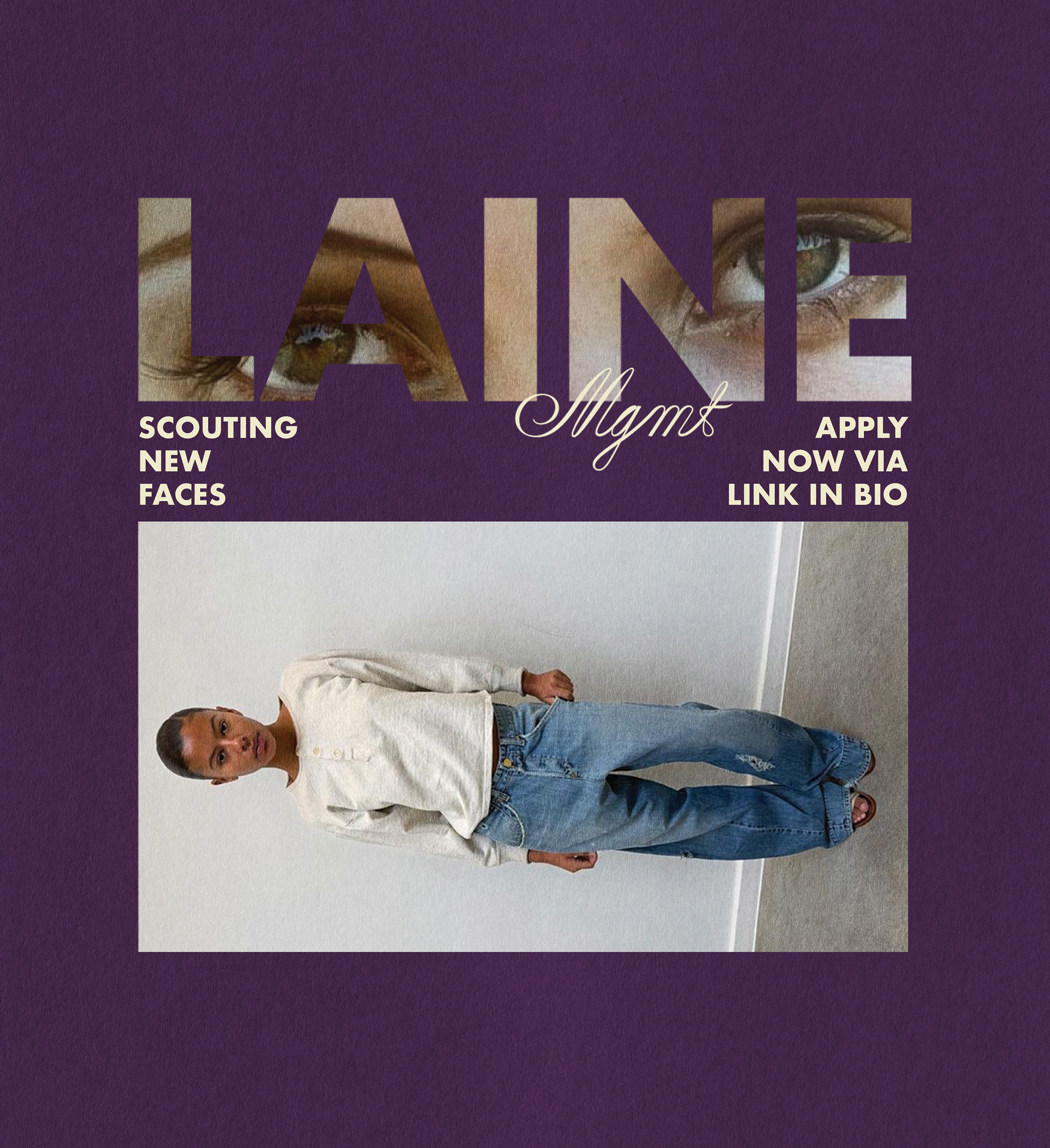 LAINE Mgmt branding project